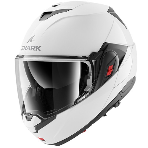 Shark oxo blank pearly white - oxo,